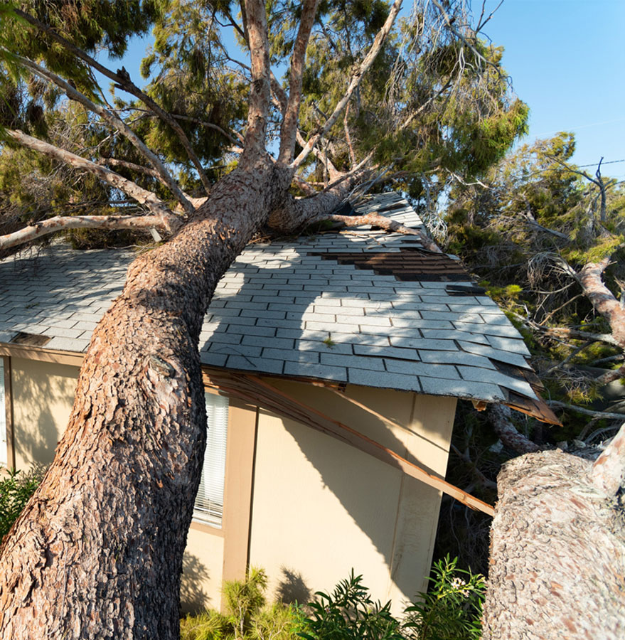 Roof Storm Damage